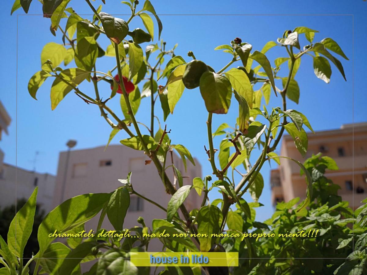 House Lido Villa กัลลีโปลี ภายนอก รูปภาพ